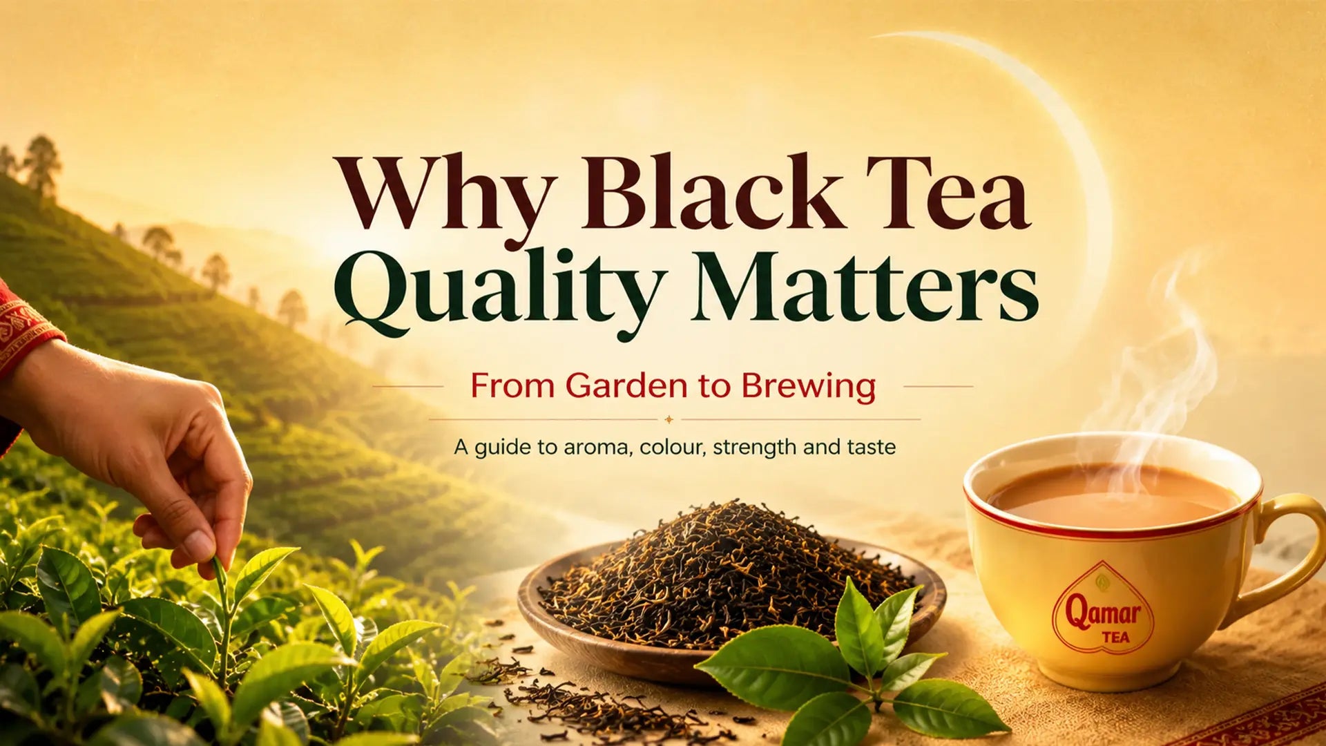 Qamar Tea black tea journey from tea garden to brewing, showing fresh leaves, loose tea, and a steaming cup of chai.